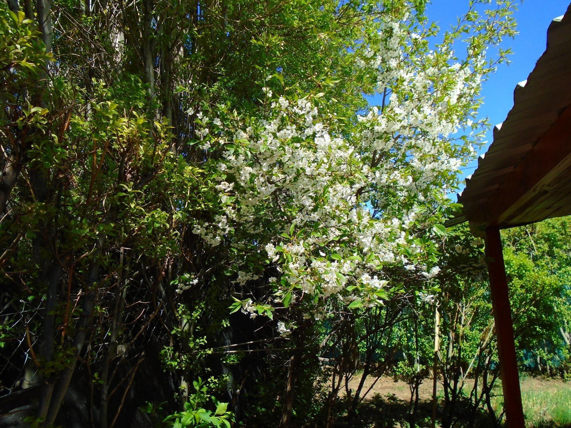Los Fresnos El Calafate Zewnętrze zdjęcie